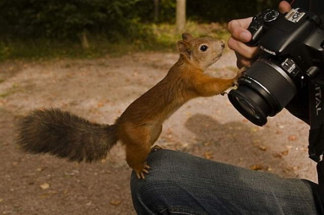 Shangrala's Budding Photographers 3