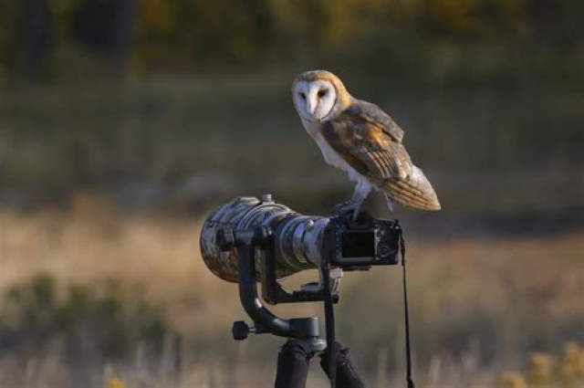 Shangrala's Budding Photographers 3