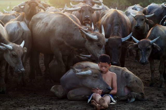 Shangrala's Siena Photo Awards