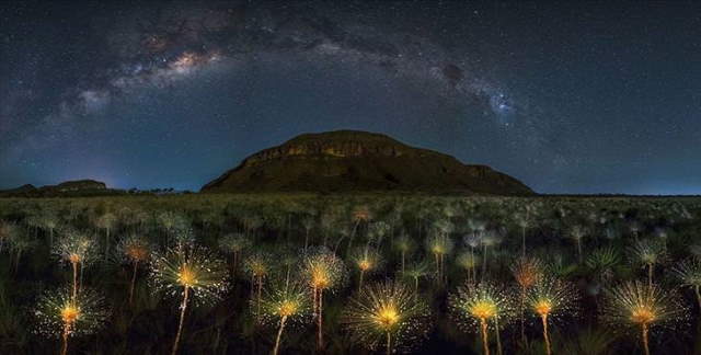 Shangrala's Siena Photo Awards