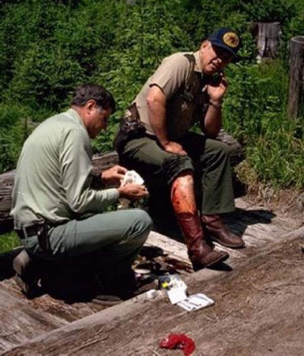 Shangrala's Wild Bear Release