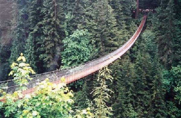 Shangrala's Beautiful Bridges