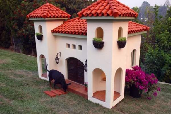 Shangrala's Amazing Dog Houses