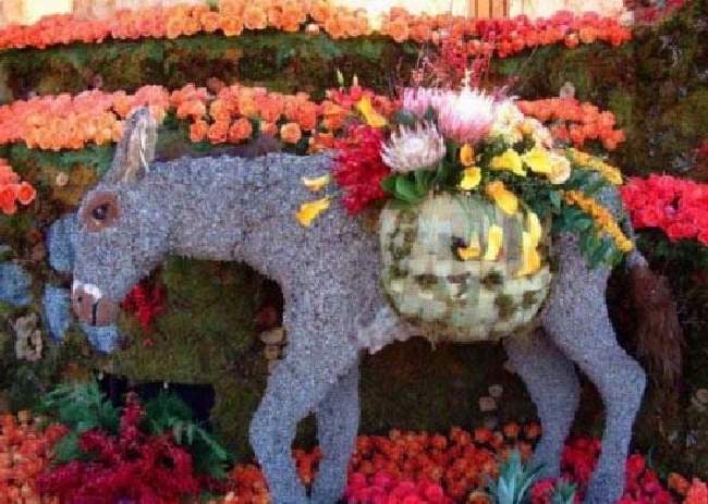 Shangrala's Flower Art