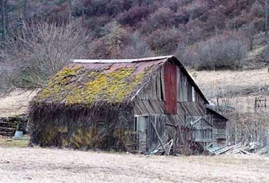 Shangrala's Old Barns