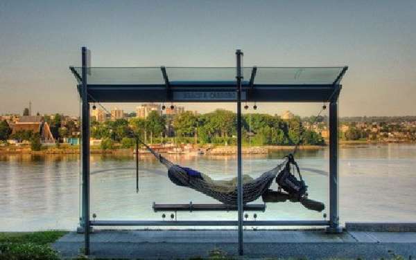 Amazing Bus Stops