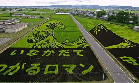 Shangrala's Japan Crop Art