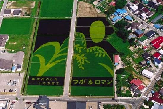 Shangrala's Japan Crop Art