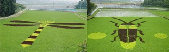 Shangrala's Japan Crop Art