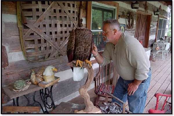 Shangrala's Eagle Sculpture Art