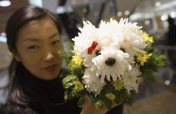 Shangrala's Flower Dog Art