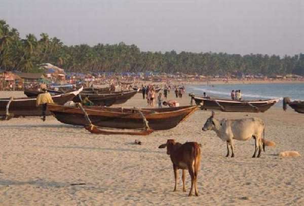 Shangrala's Beaches In India