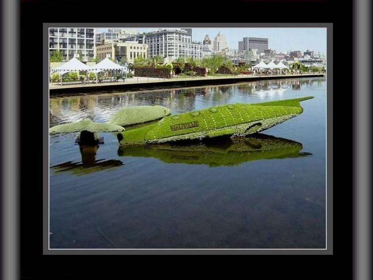 Shangrala's Montreal Gardens