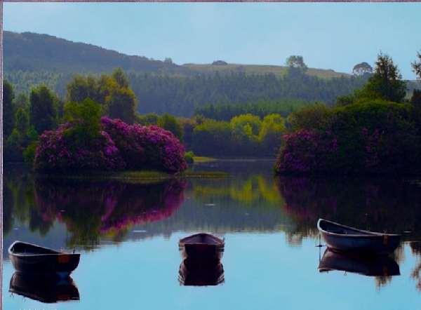 Shangrala's God's Water Paintings