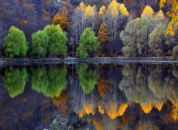 Shangrala's God's Water Paintings