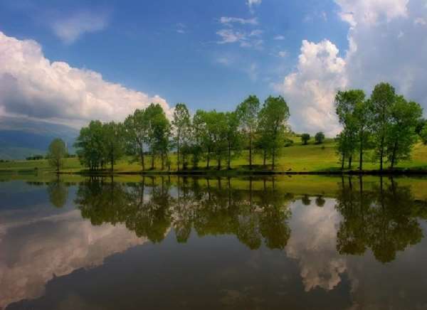 Shangrala's God's Water Paintings