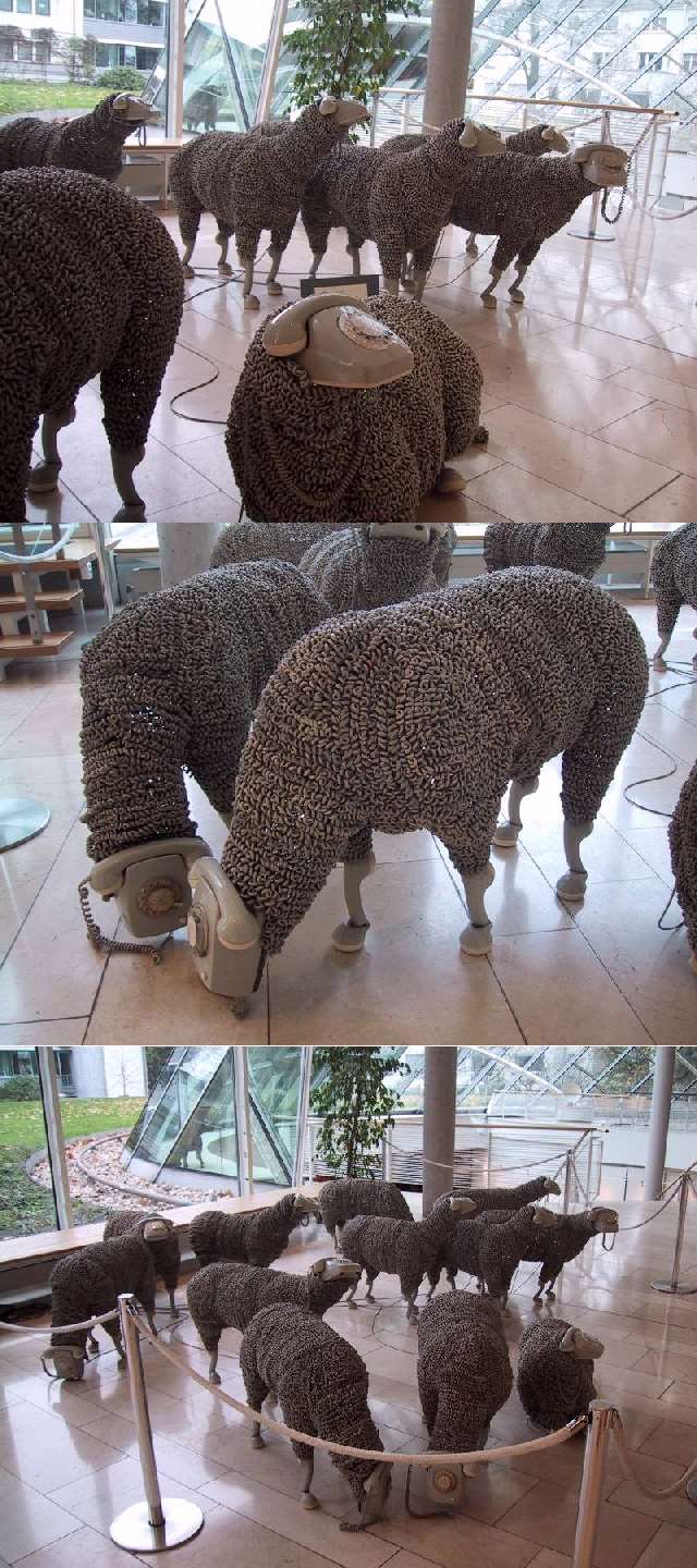 Shangrala's Phone Sheep Art