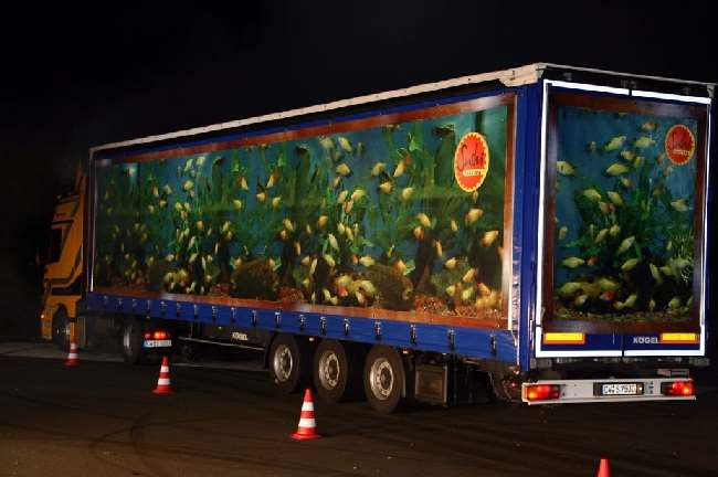 Shangrala's Advertising Truck Art