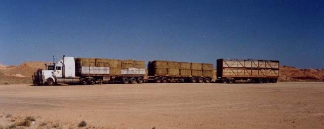 Shangrala's Road Train