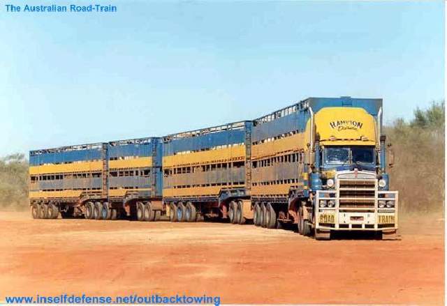 Shangrala's Road Train