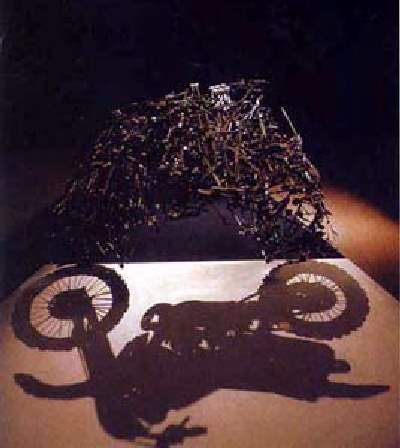 Shangrala's Trash Shadow Art