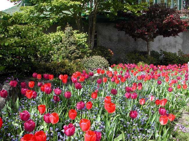 Shangrala's Butchart Gardens