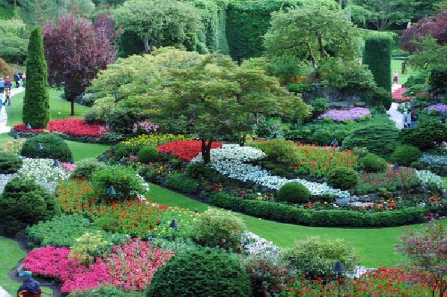 Shangrala's Butchart Gardens