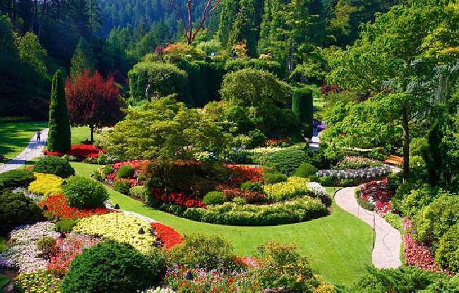 Shangrala's Butchart Gardens