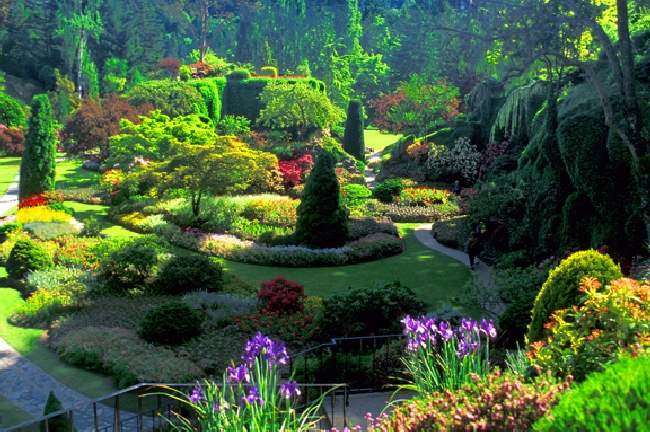 Shangrala's Butchart Gardens