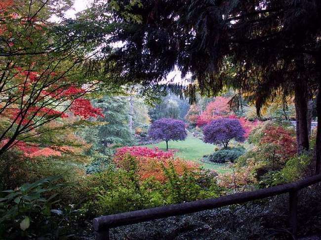 Shangrala's Butchart Gardens