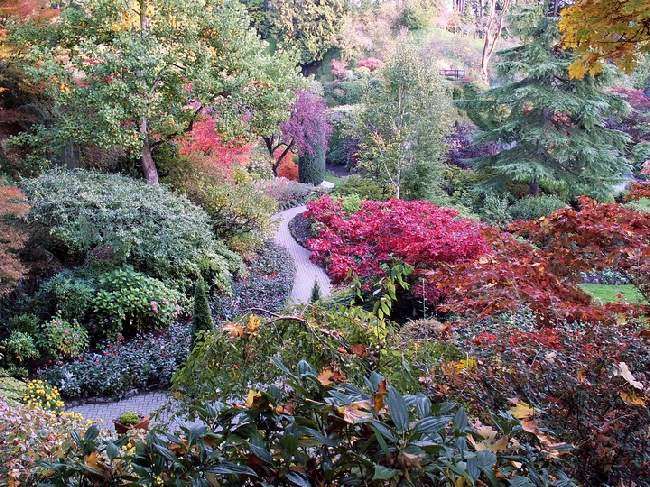 Shangrala's Butchart Gardens