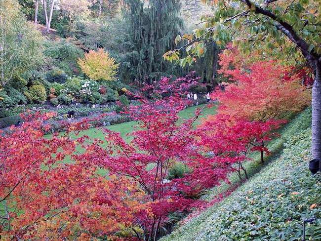 Shangrala's Butchart Gardens