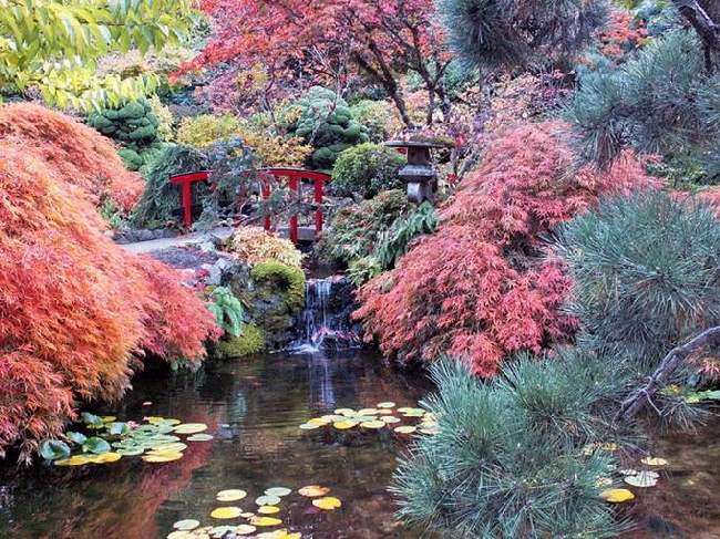 Shangrala's Butchart Gardens