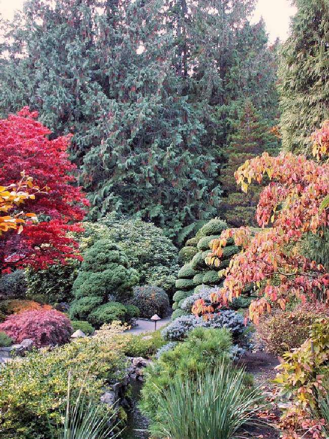 Shangrala's Butchart Gardens