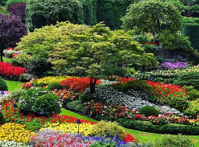 Shangrala's Butchart Gardens