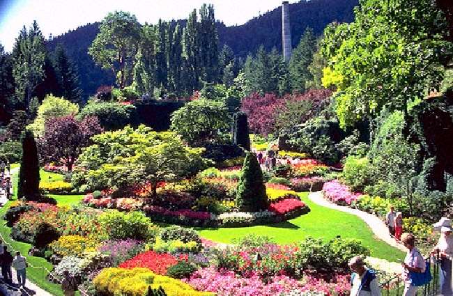 Shangrala's Butchart Gardens