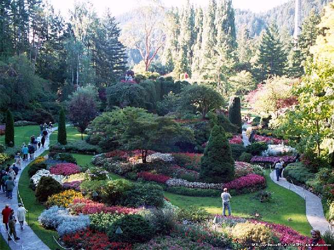 Shangrala's Butchart Gardens