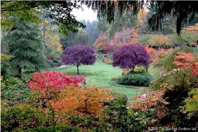 Shangrala's Butchart Gardens