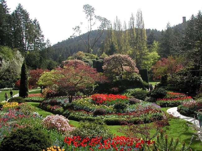 Shangrala's Butchart Gardens