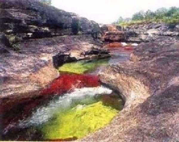 Shangrala's Cano Cristales River