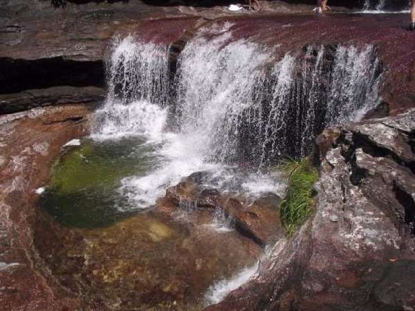 Shangrala's Cano Cristales River