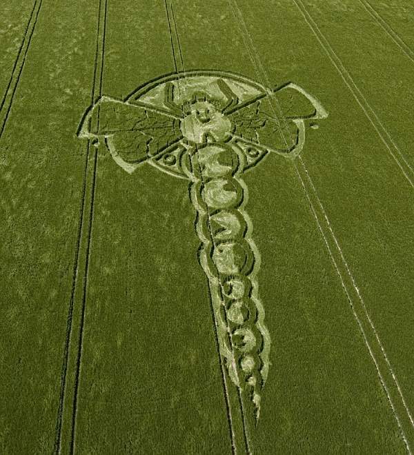 Shangrala's Crop Circles 2009