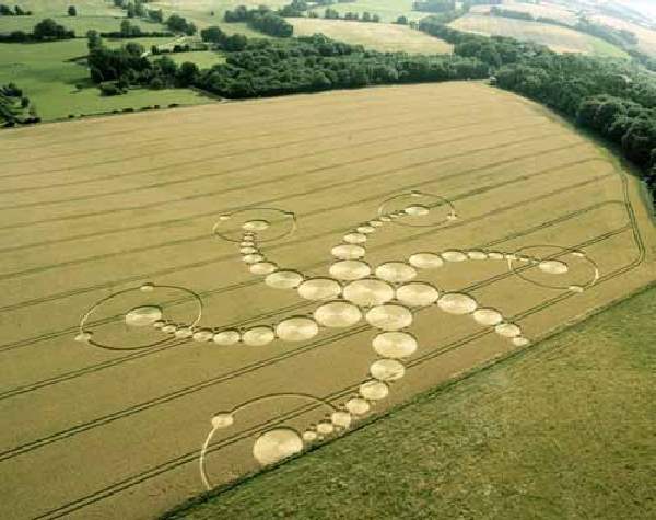 Shangrala's Crop Circles 2009