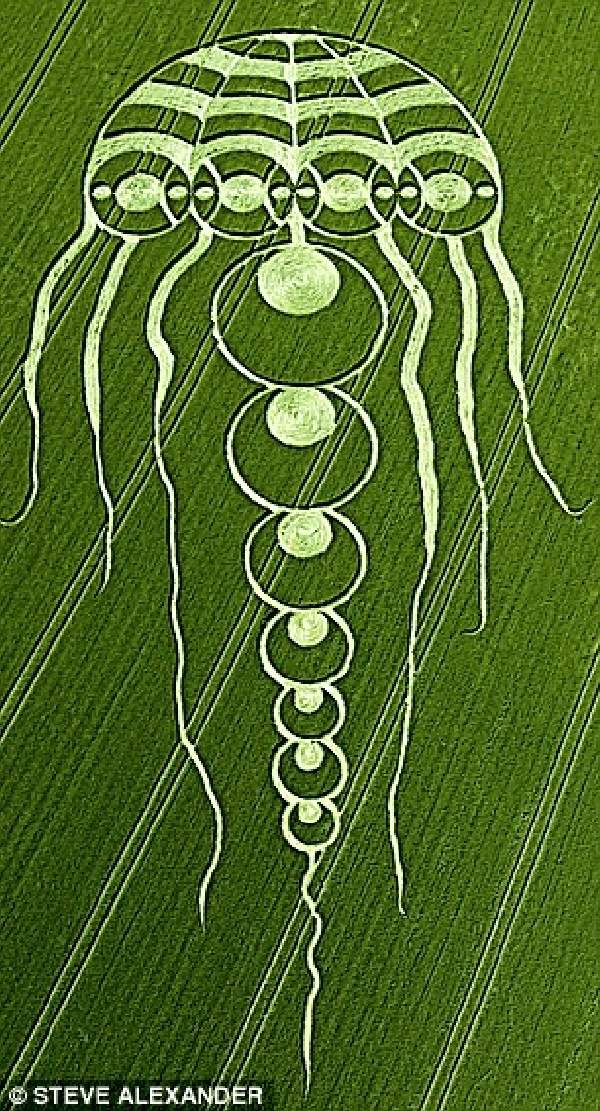 Shangrala's Crop Circles 2009