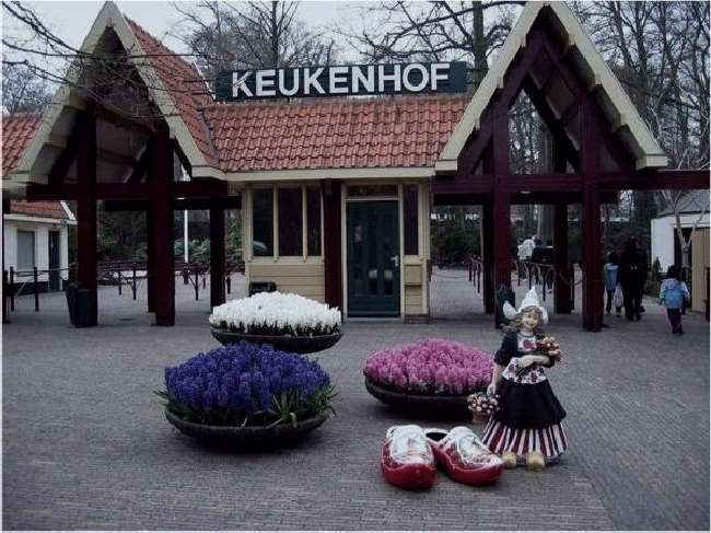 Shangrala's Keukenhof Gardens