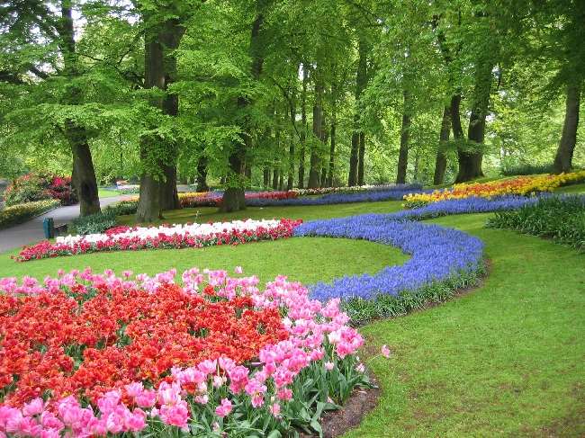 Shangrala's Keukenhof Gardens