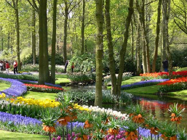 Shangrala's Keukenhof Gardens