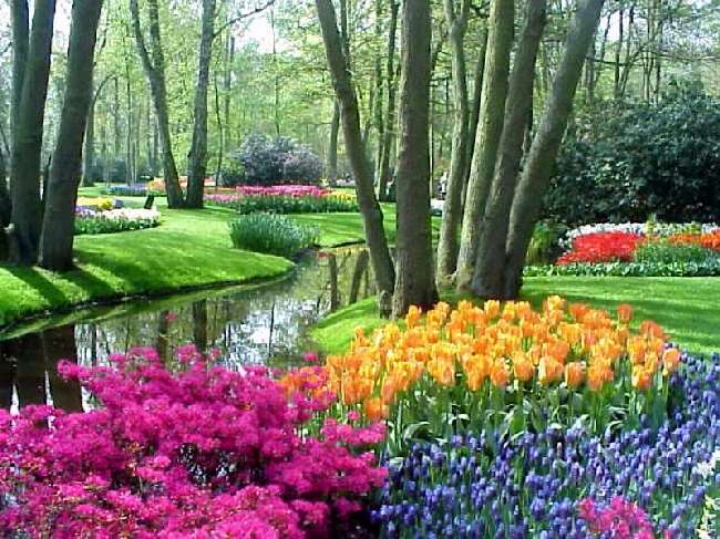 Shangrala's Keukenhof Gardens