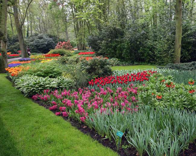 Shangrala's Keukenhof Gardens