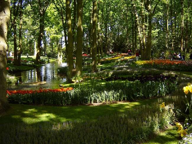 Shangrala's Keukenhof Gardens